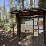Christmas Meadows Campground