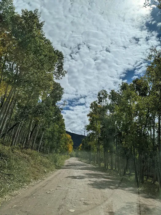 Wolverine ATV Trailhead Campground Picture 6