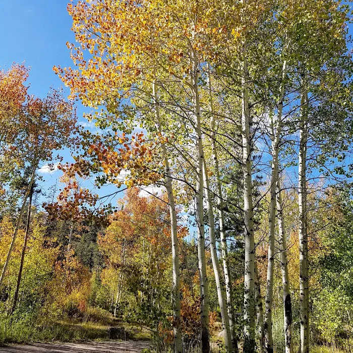 Bear River Campground Picture 4