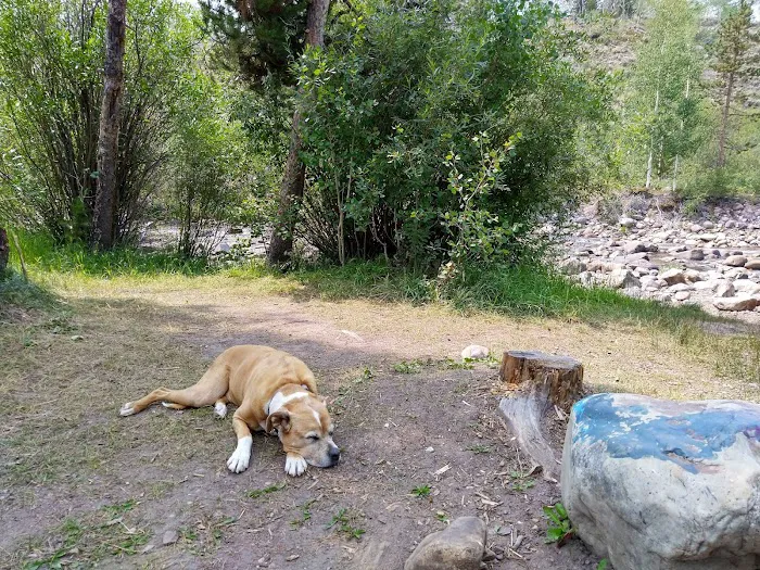 Bear River Campground Picture 5