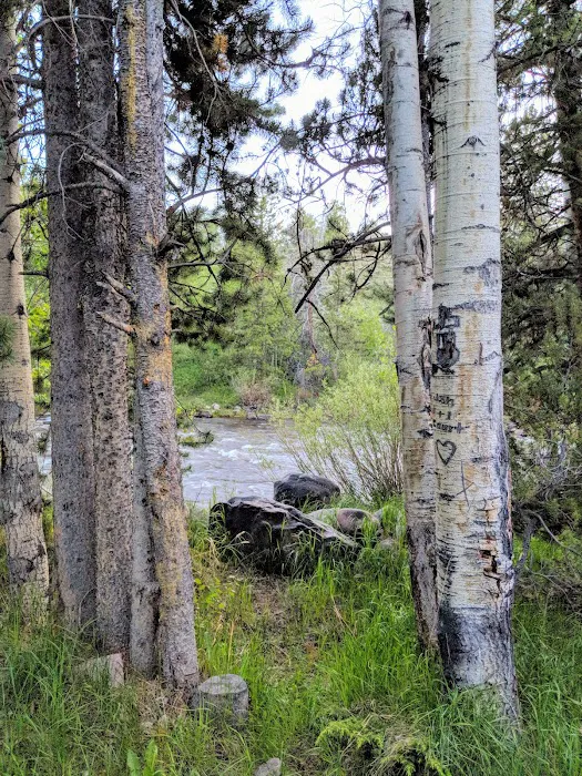 Bear River Campground Picture 6