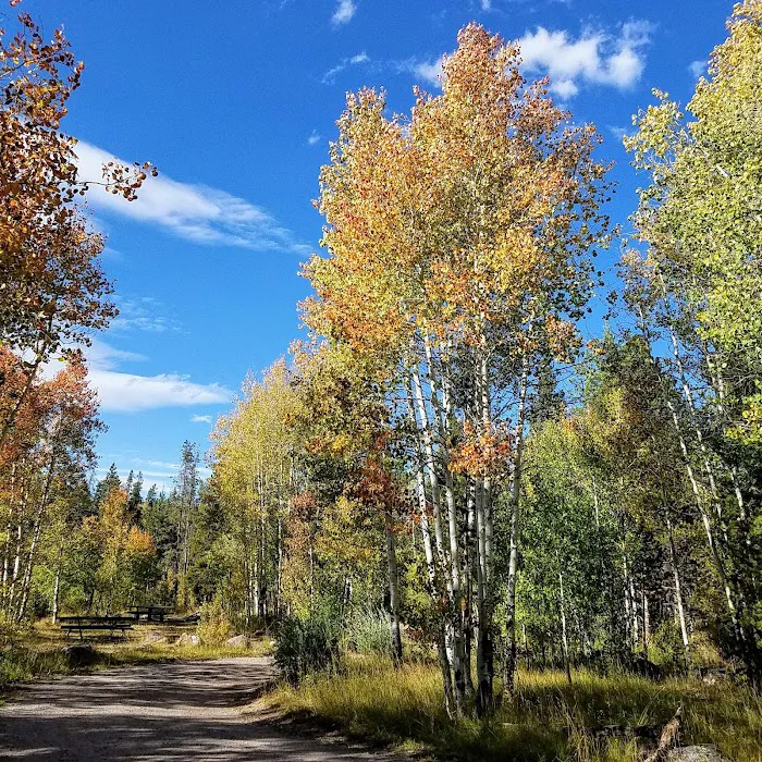 Bear River Campground Picture 10