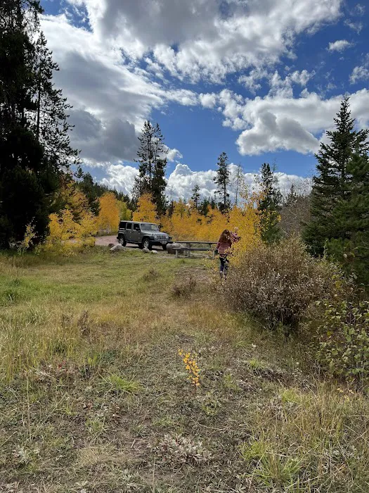 East Fork Bear River Campground Picture 1
