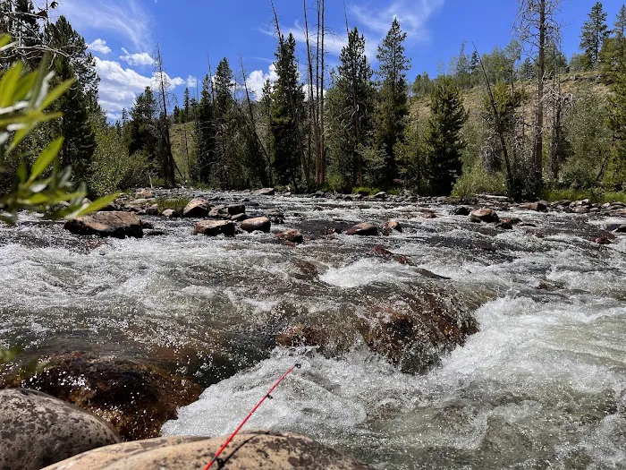 East Fork Bear River Campground Picture 2