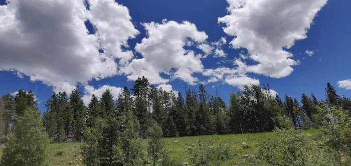 East Fork Bear River Campground Picture 9