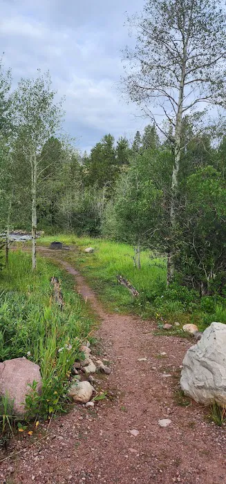 East Fork Bear River Campground Picture 8