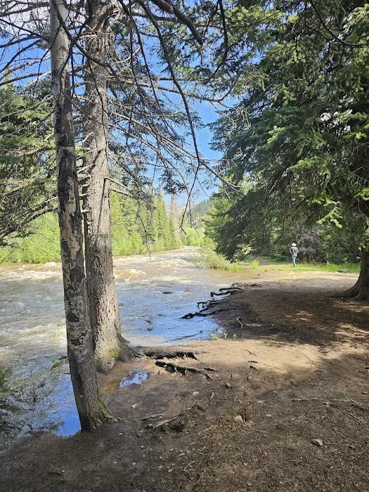 Aspen Campground Picture 4
