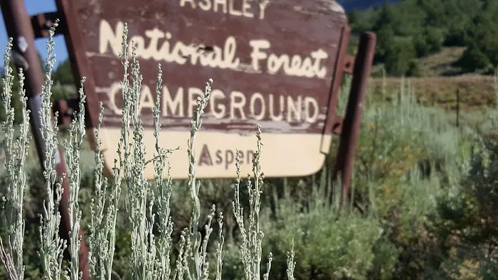 Aspen Campground Picture 7
