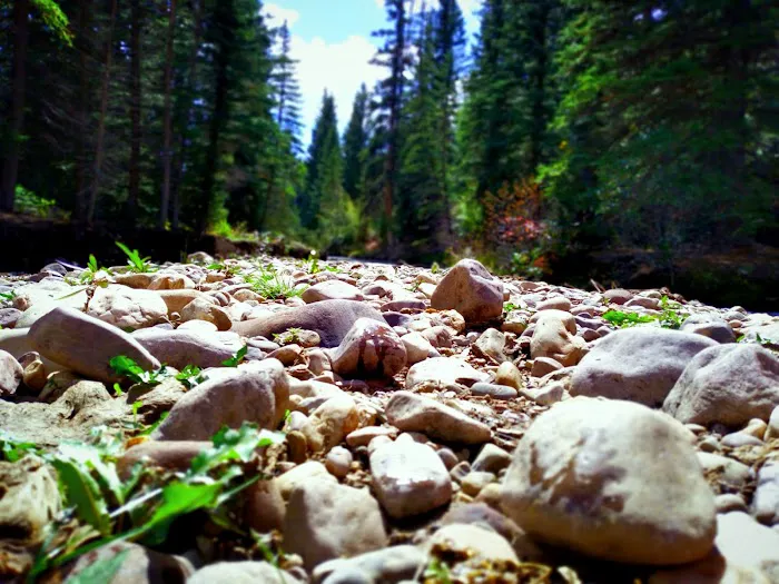 Aspen Campground Picture 8