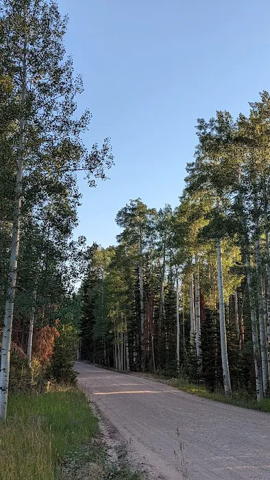 Carter Creek USAF Camp Picture 10