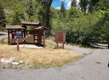 Bear Canyon Campground