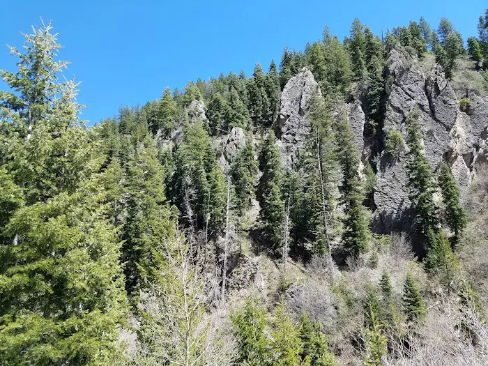 Bear Canyon Campground Picture 8