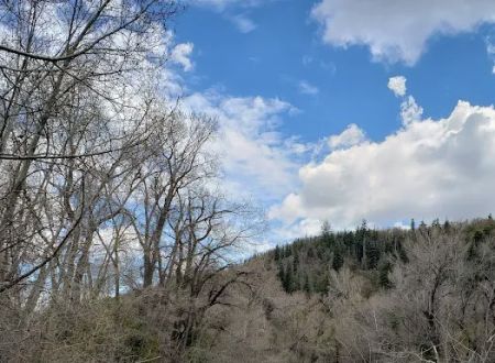 Cottonwood Campground
