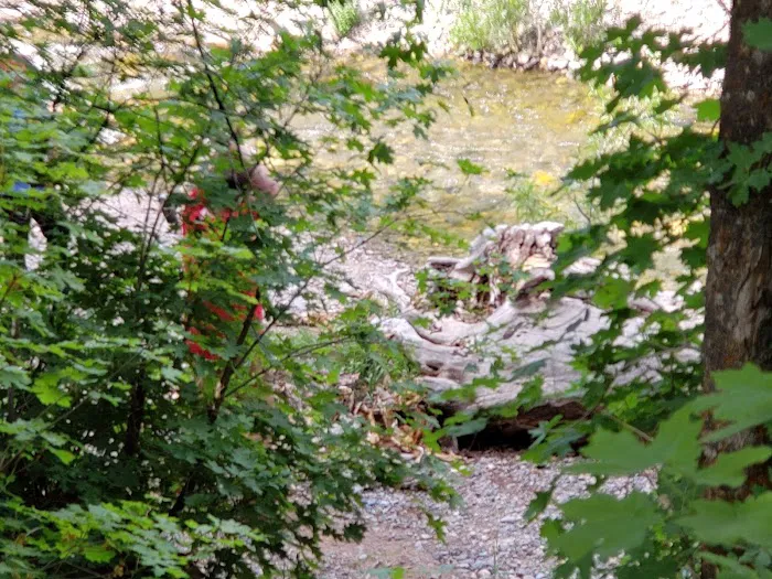 Cottonwood Campground Picture 4
