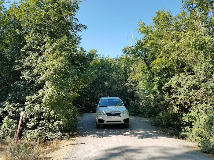 Cottonwood Campground Picture 6