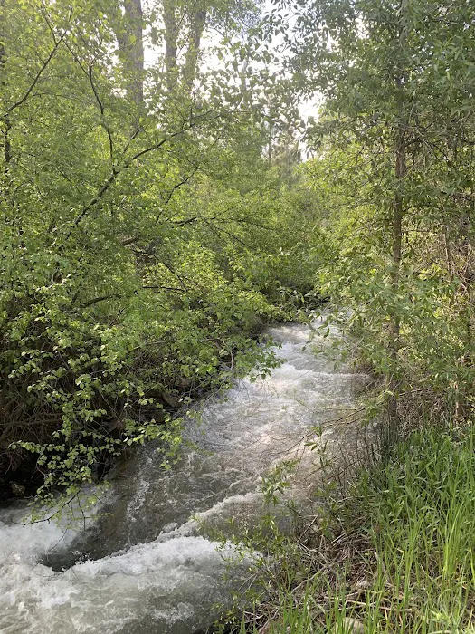 Ponderosa Campground Picture 4