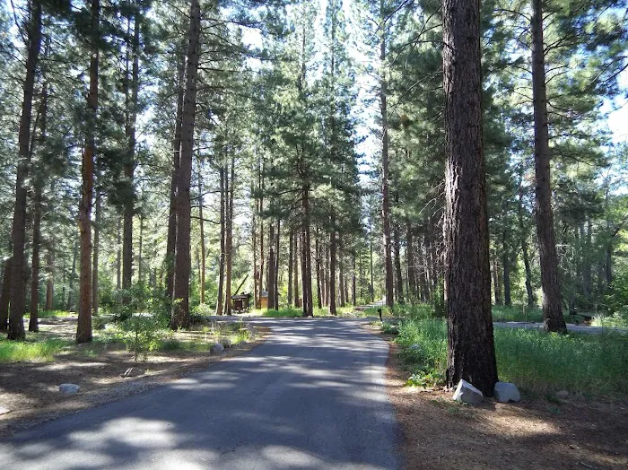 Ponderosa Campground Picture 3