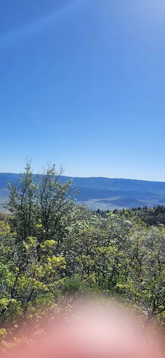 Camp Haven Picture 4