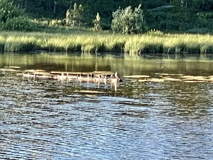 Little Lyman Lake Campground Picture 1
