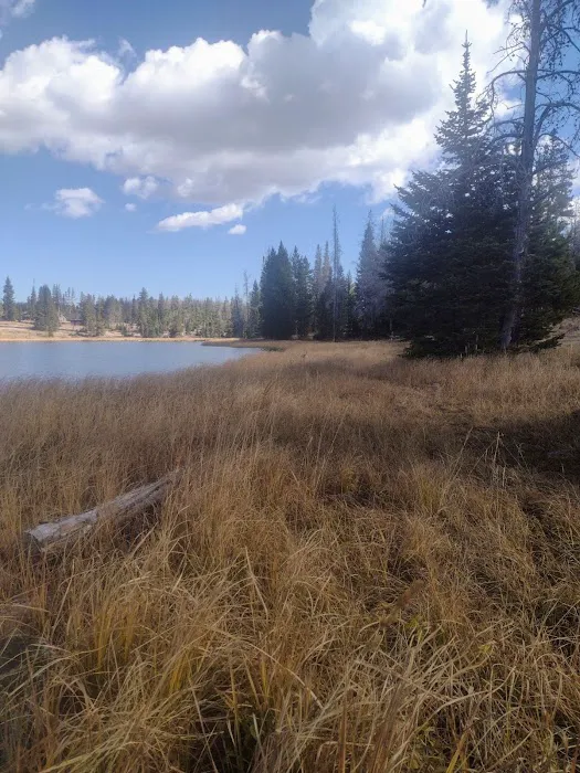 Little Lyman Lake Campground Picture 6