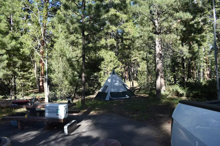 Yellowpine Campground Picture 4