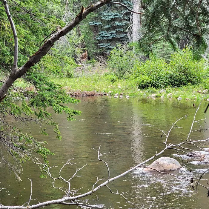 Yellowpine Campground Picture 9