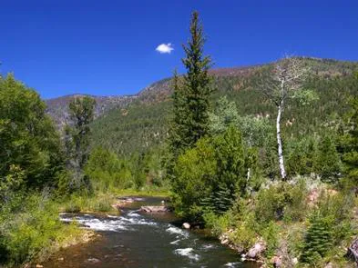 Miners Gulch Group Campground Picture 6
