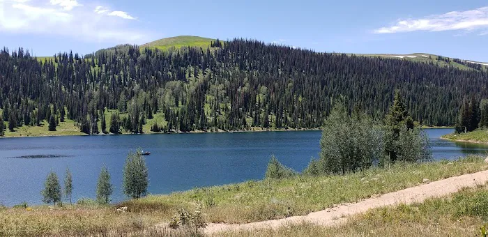 Gooseberry Reservoir Campground Picture 7