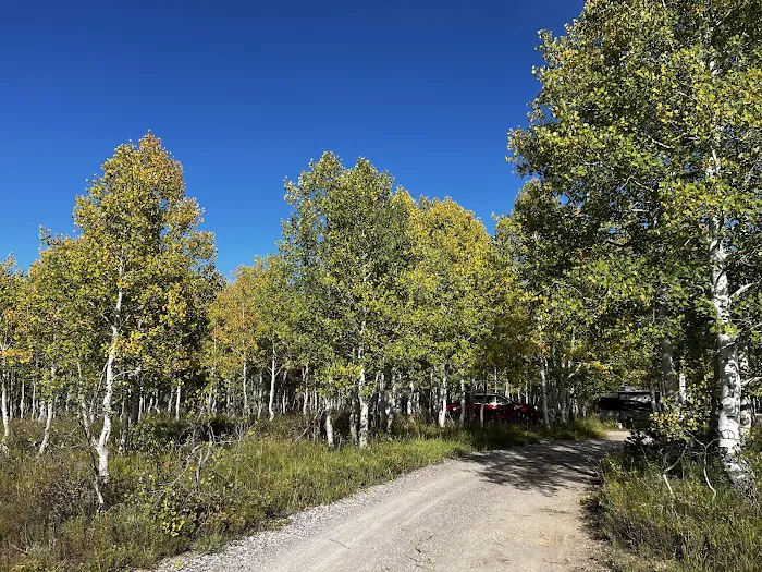 Gooseberry Campground Picture 2