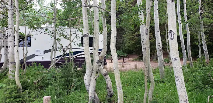 Gooseberry Campground Picture 7