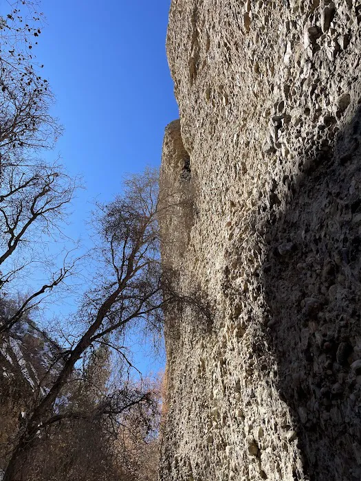 Maple Canyon Campground Picture 7