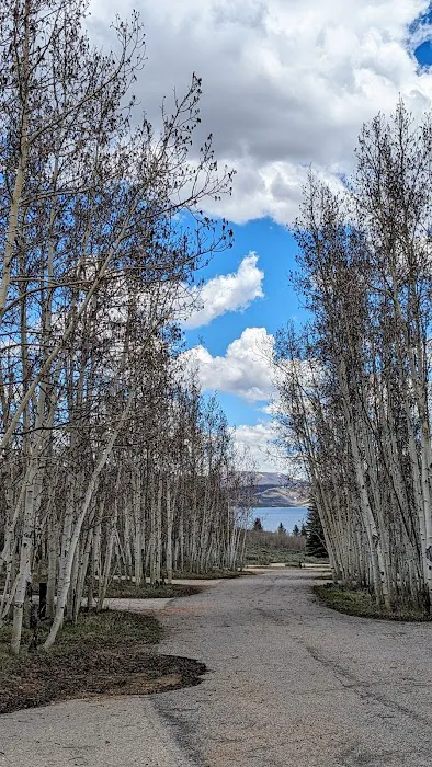 Aspen Grove Campground Picture 7