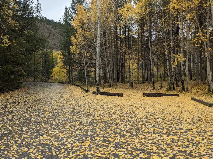 Aspen Grove Campground Loop B Picture 6