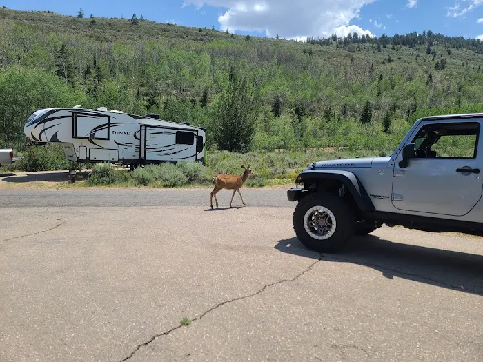 Aspen Grove Campground Loop B Picture 10