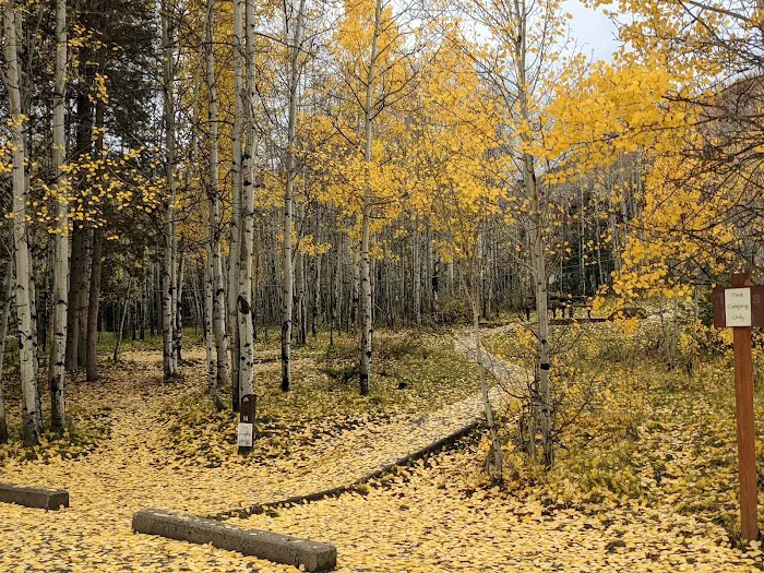 Aspen Grove Campground Loop B Picture 9