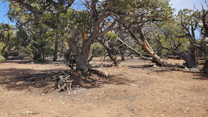 SKS Ranch Picture 3