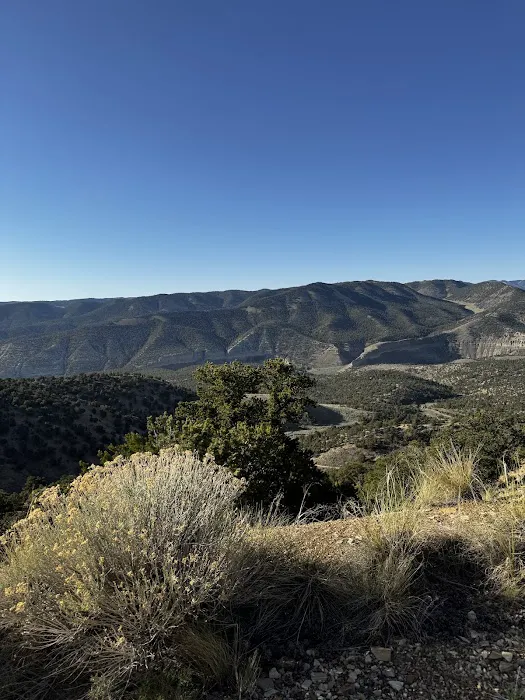 SKS Ranch Picture 6