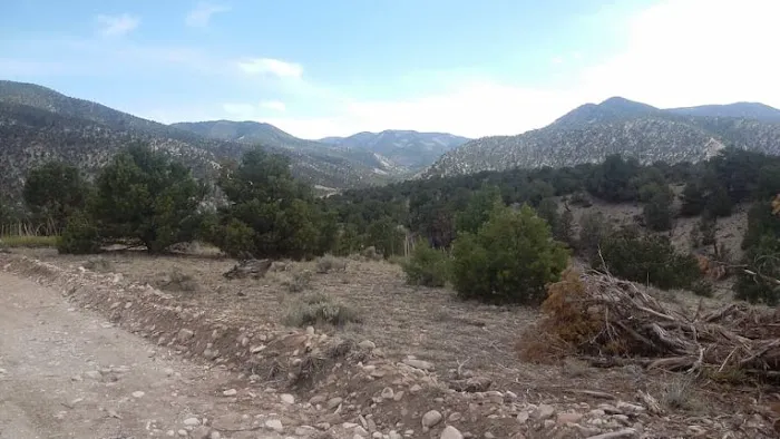 wRight wRanch Picture 6