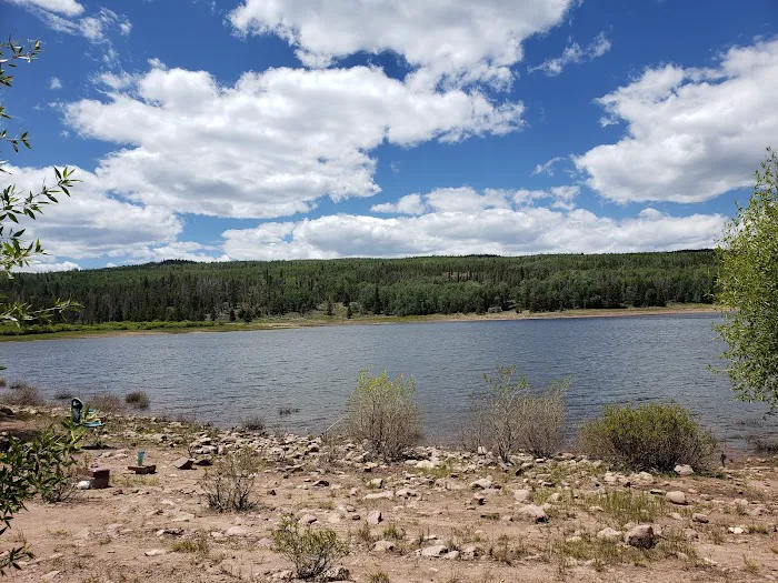 Meeks Cabin Campground Picture 1