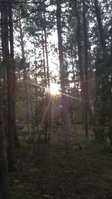 Meeks Cabin Campground Picture 4