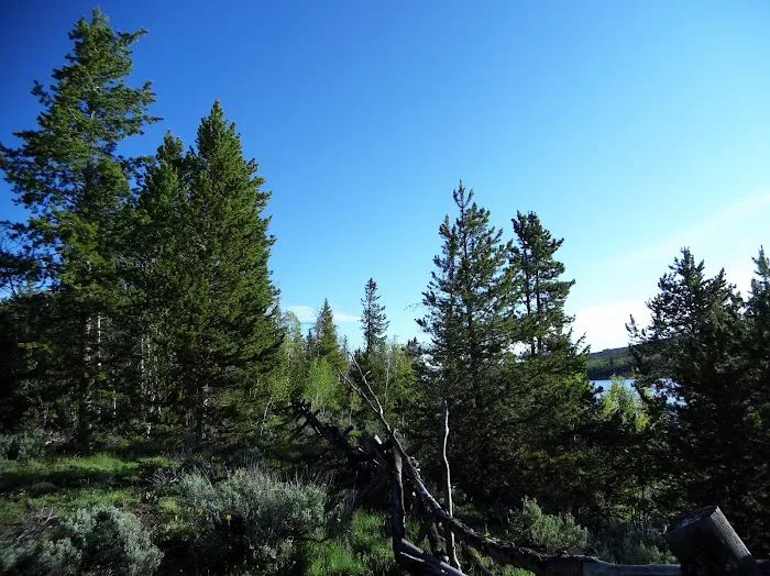 Meeks Cabin Campground Picture 10