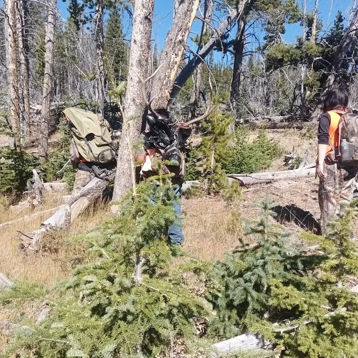 East Fork Black's Fork Campground Picture 5