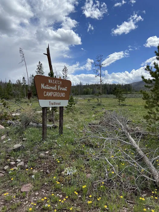 China Meadows Trailhead Campground Picture 2