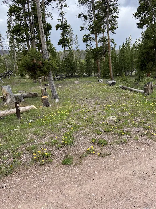 China Meadows Trailhead Campground Picture 3