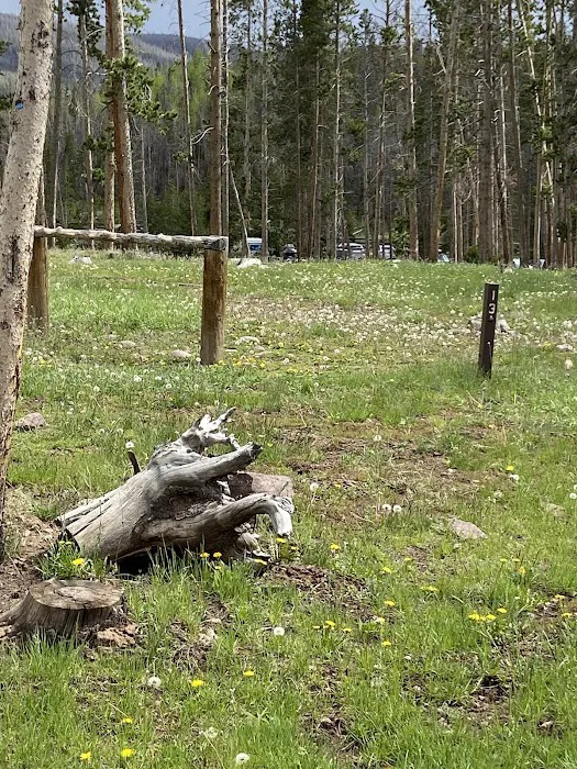 China Meadows Trailhead Campground Picture 5