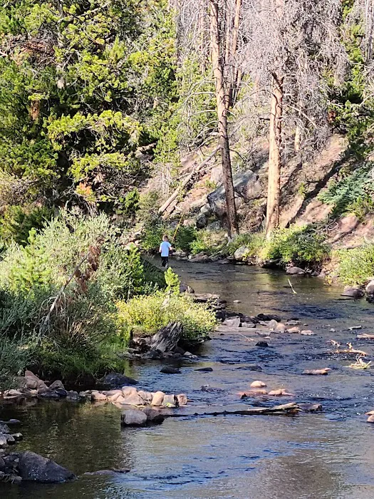 China Meadows Campground Picture 6