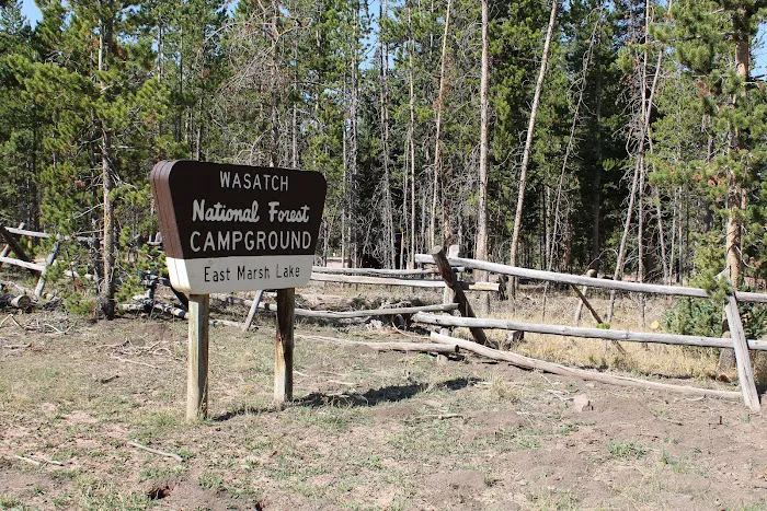 East Marsh Lake Campground Picture 2