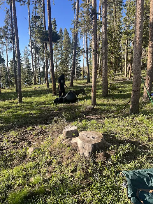 East Marsh Lake Campground Picture 10