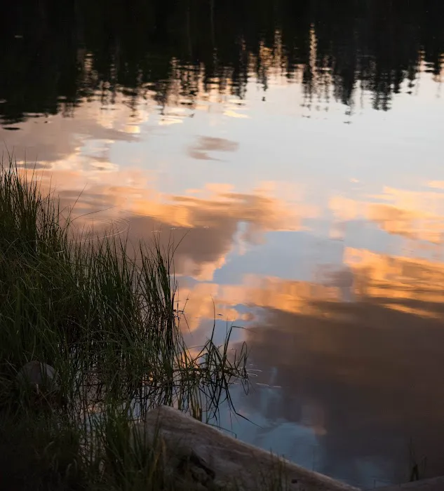 East Marsh Lake Campground Picture 9
