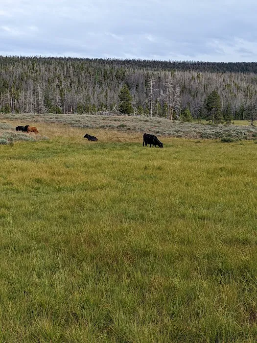 Bridger Lake Campground Picture 1